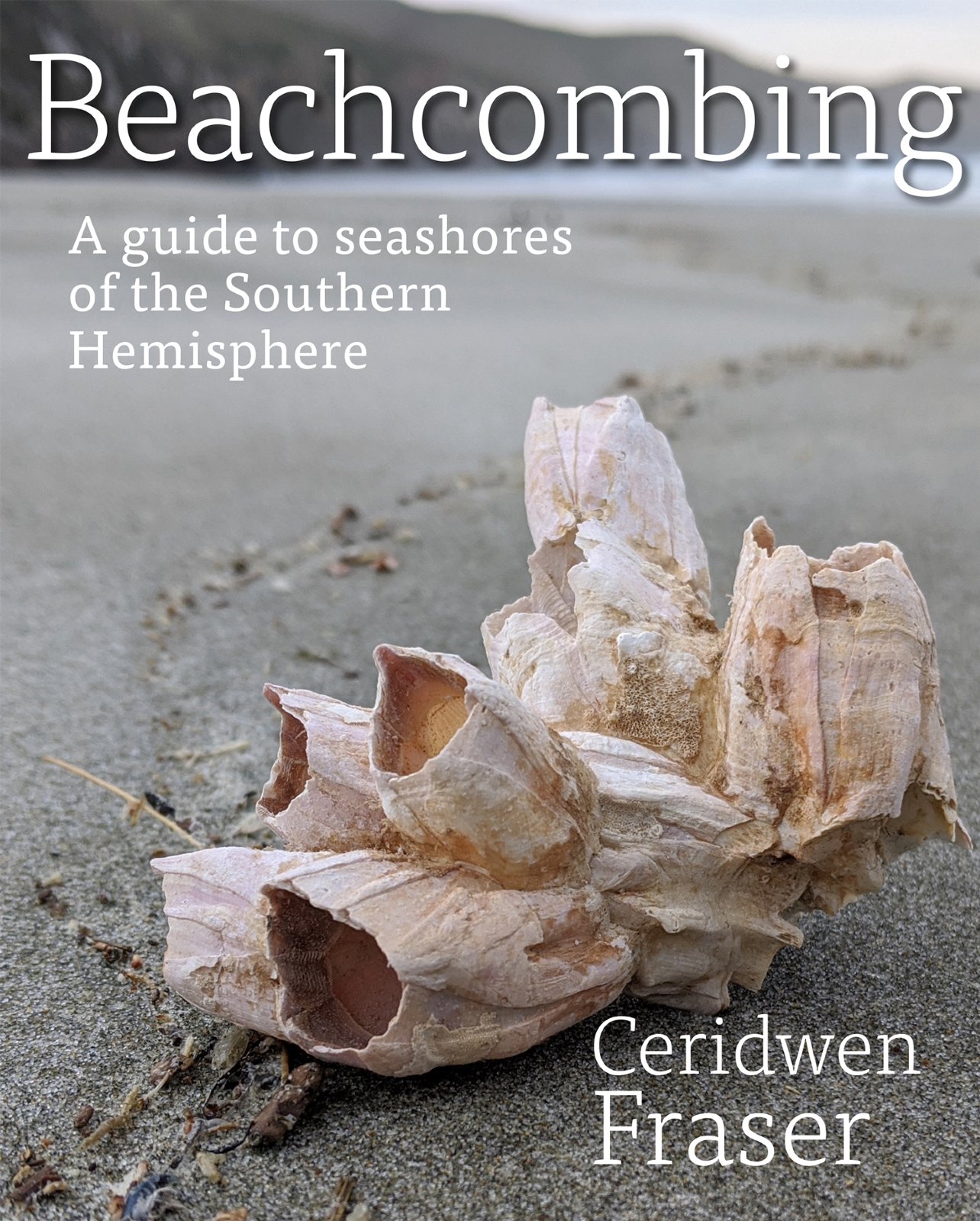 Beachcombing Book